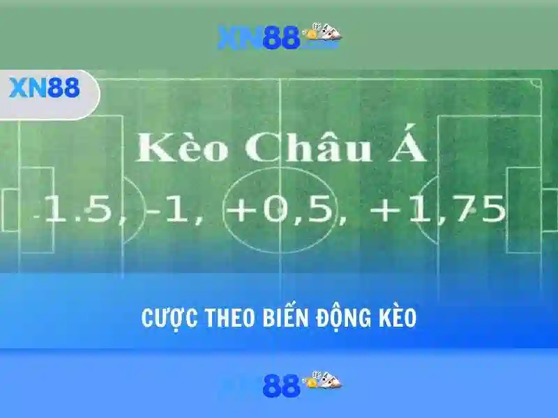 xn88: Nhà cái thể thao và casino trực tuyến