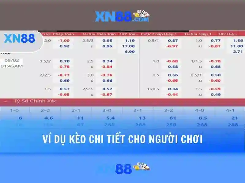 Các sản phẩm và dịch vụ của xn88