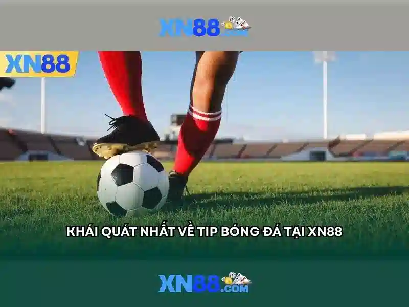 Xn88 là gì và tại sao nó thu hút người chơi