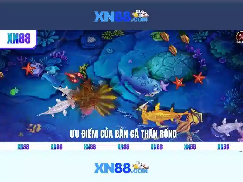 Giới thiệu về xn88