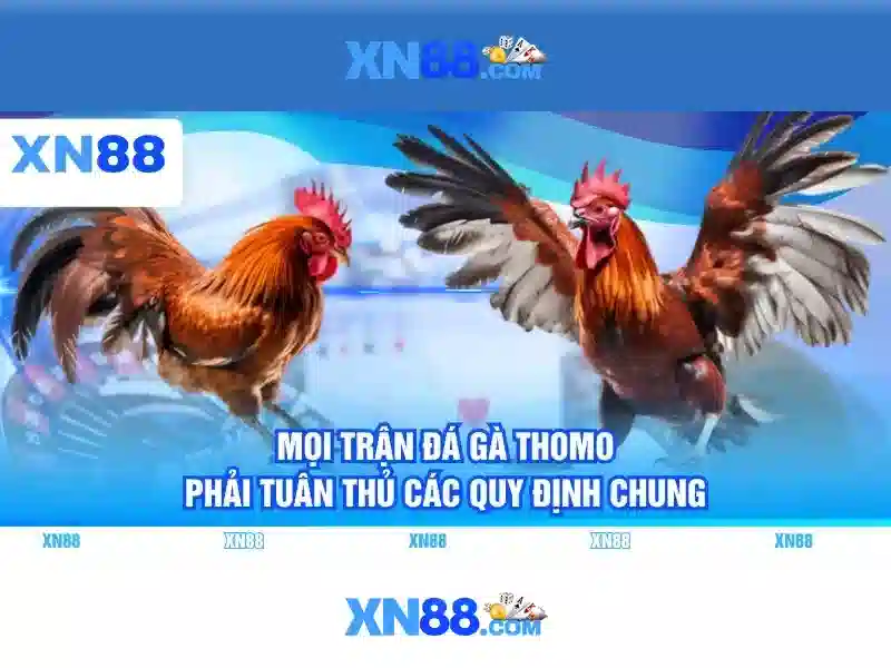 xn88 - Tổng quan và trải nghiệm nền tảng