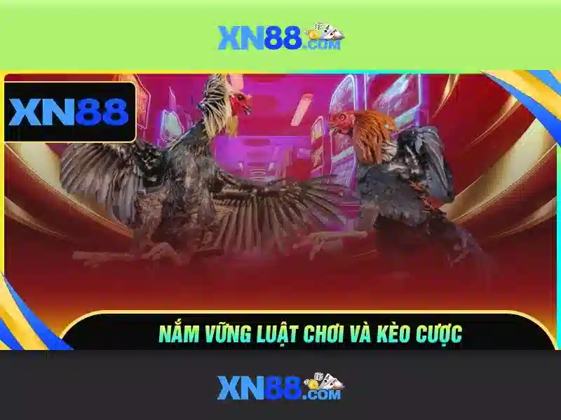 xn88: Nền tảng giải trí trực tuyến đáng tin cậy