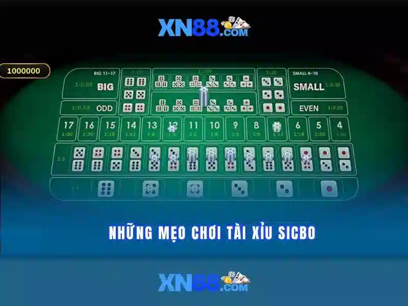 Đồng hành cùng người chơi Việt