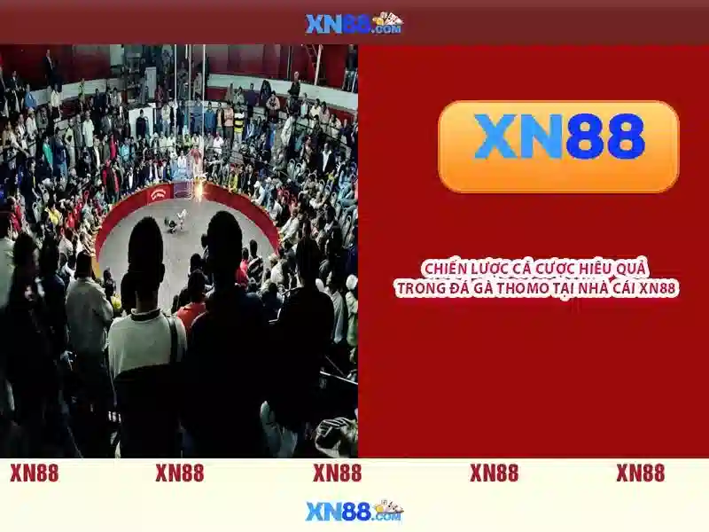 xn88: Tổng quan, dịch vụ và đánh giá