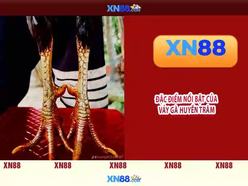 XN88: Khám phá nền tảng cá cược và giải trí trực tuyến