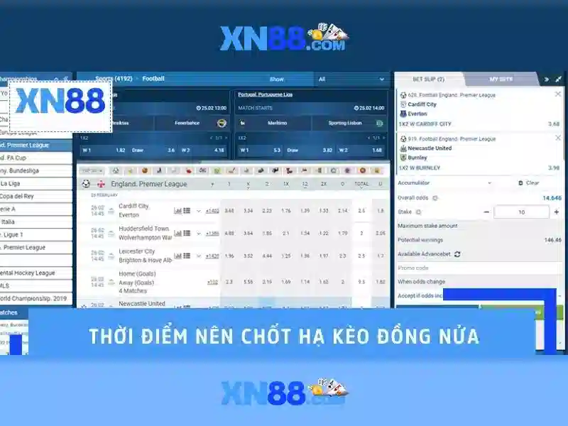 Tính năng nổi bật và quyền lợi