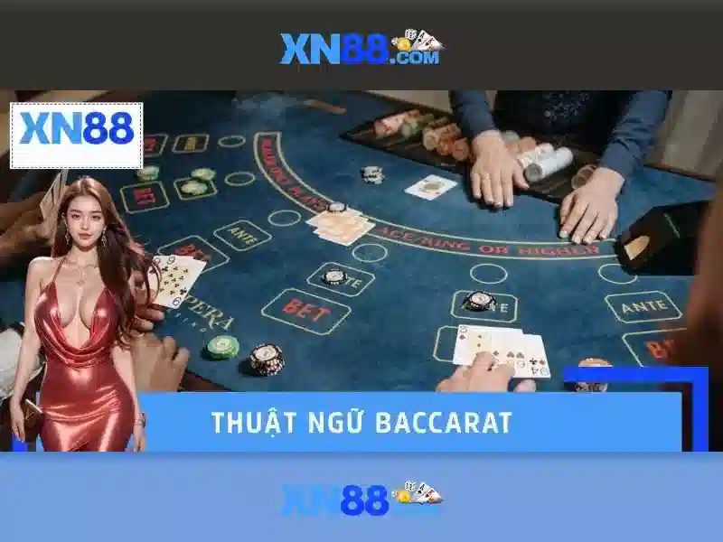 XN88: Giới thiệu về nhà cái thể thao trên internet