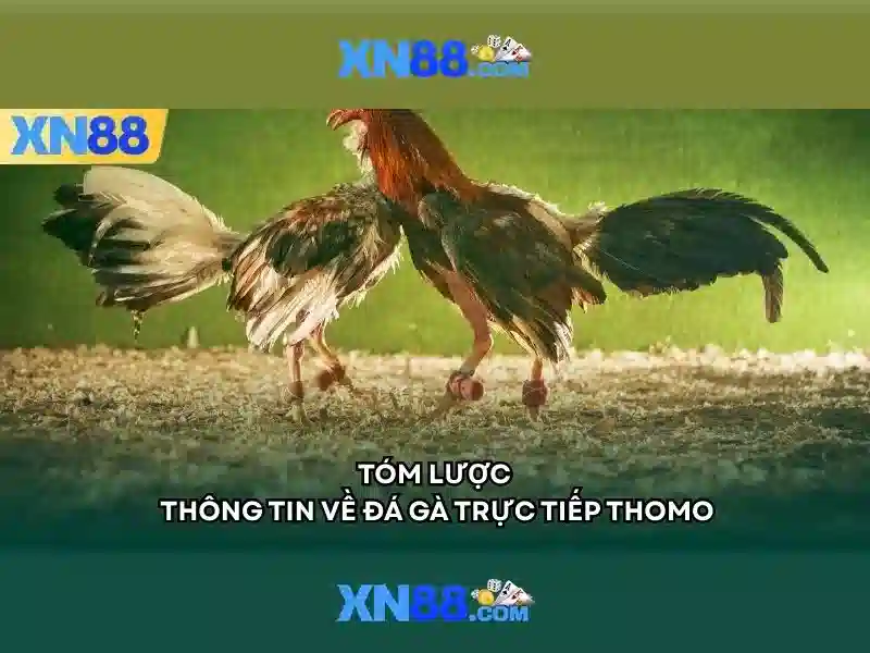 An toàn và quản lý rủi ro
