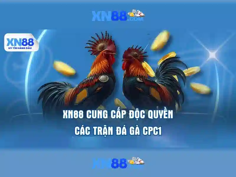 Kinh nghiệm chơi và mẹo tối ưu hóa trải nghiệm