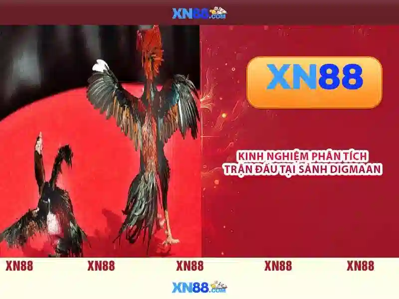 Tính năng nổi bật của xn88