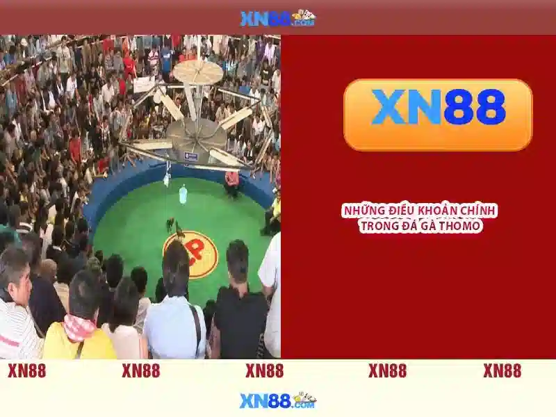 Giới thiệu về xn88