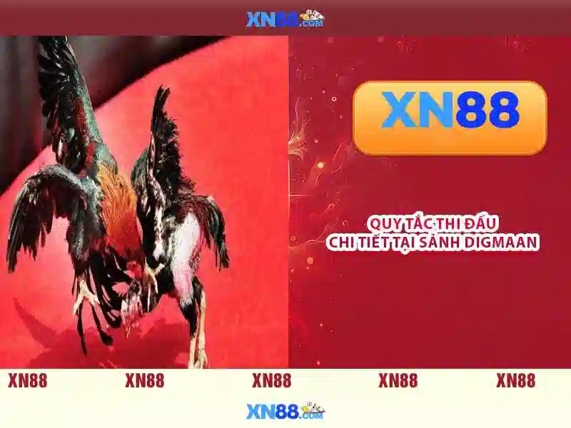 Kinh nghiệm chơi và mẹo