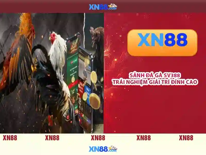 XN88 - Nền tảng giải trí và cá cược trực tuyến