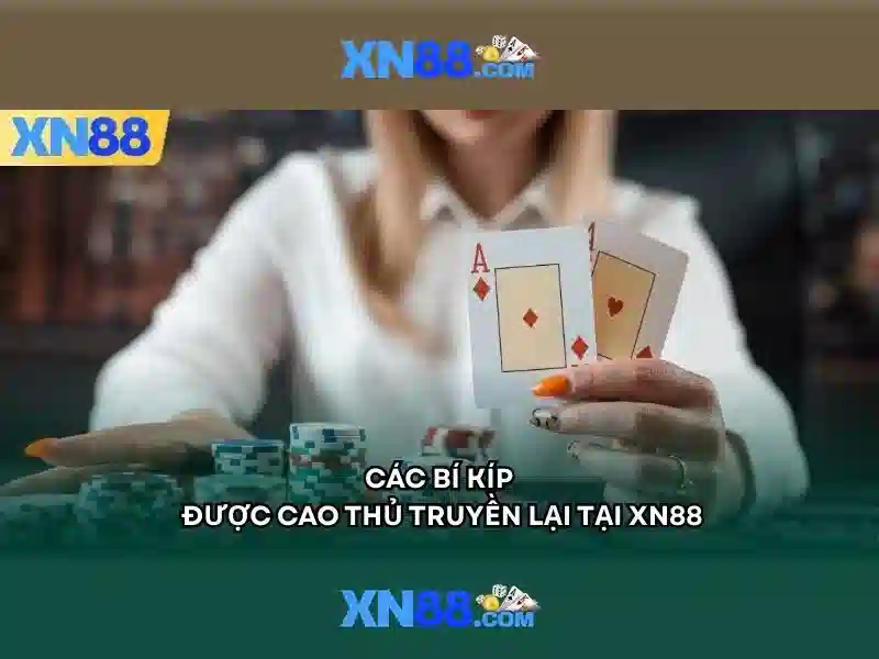 Nền tảng và giao diện