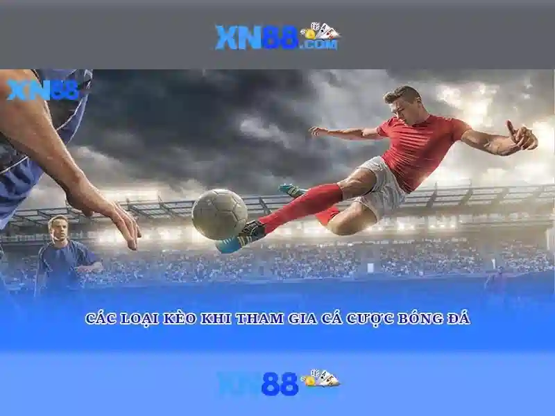 Giới thiệu về xn88