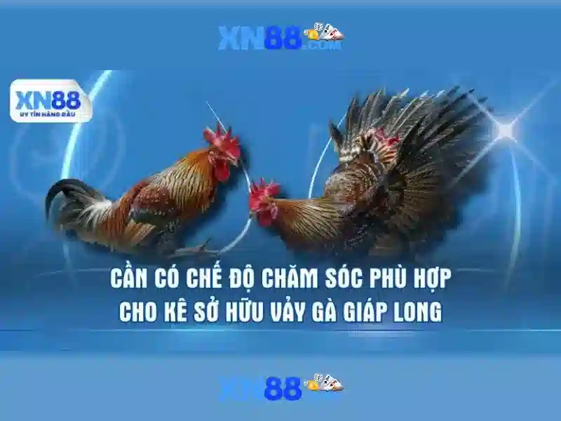 Các dịch vụ nổi bật