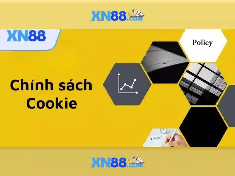 An toàn và trách nhiệm người chơi