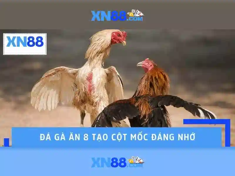 Giới thiệu về xn88