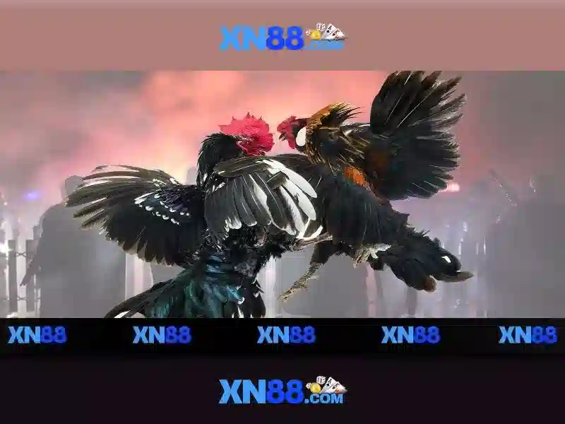 Giới thiệu về xn88