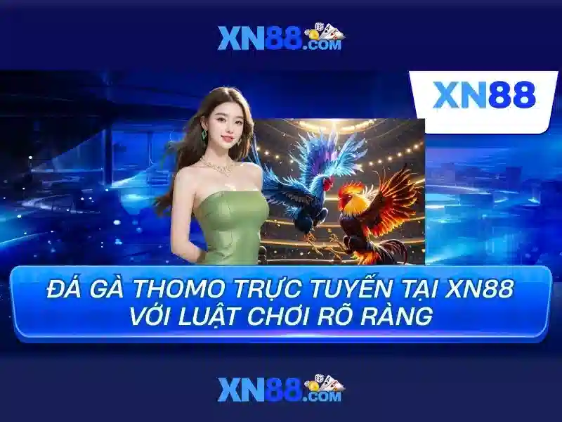 Triển vọng phát triển và định hướng tương lai