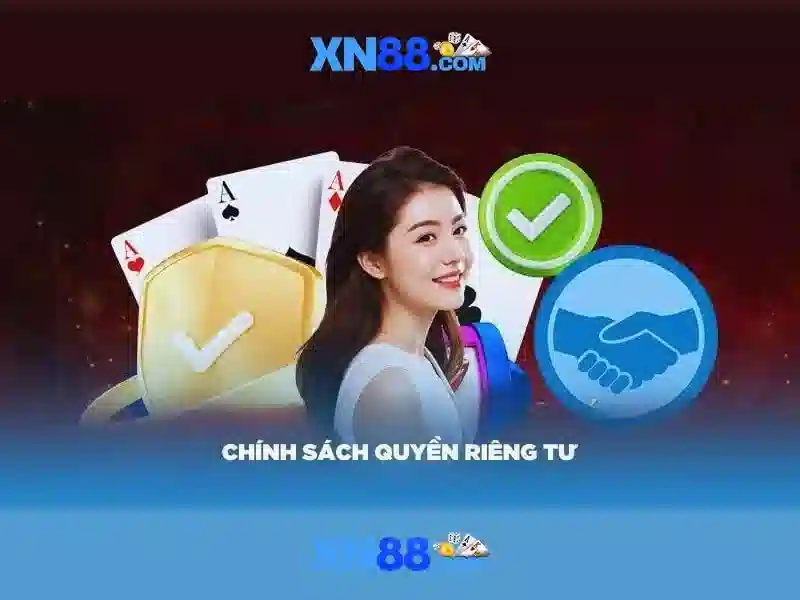 Đánh giá và phản hồi từ người dùng