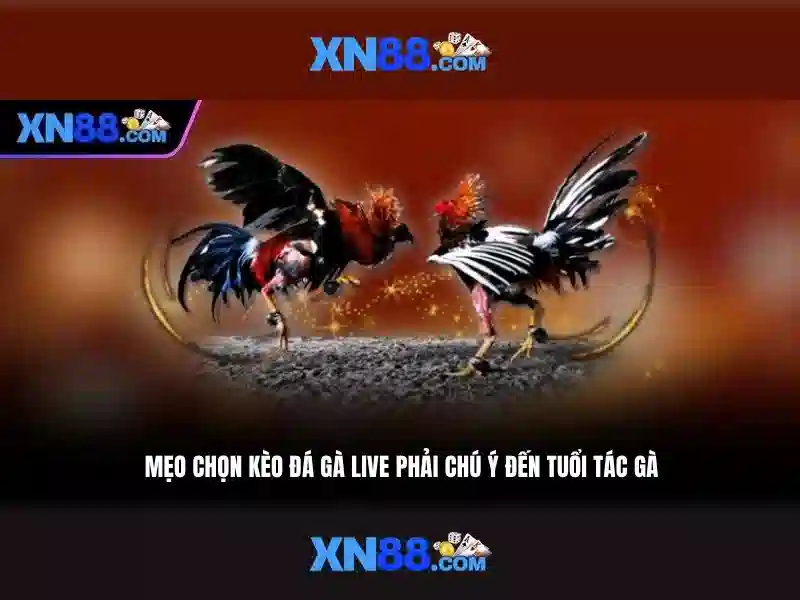 Bảo mật và công nghệ