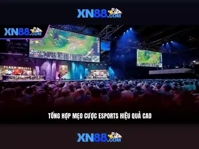 xn88: Tổng quan và trải nghiệm người dùng