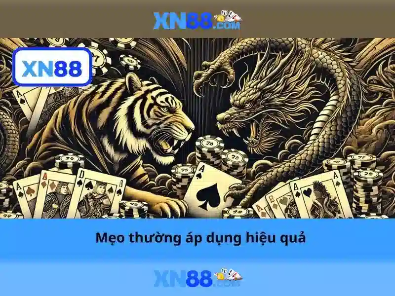 Chính sách thưởng và khuyến mãi