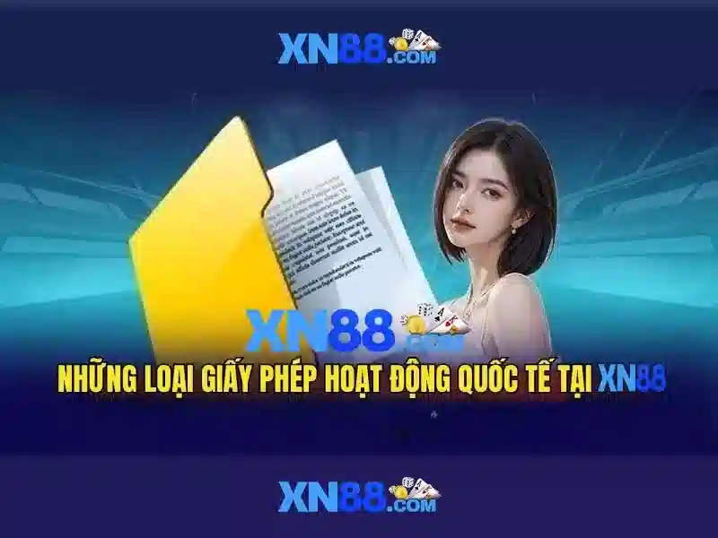 Giao diện và trải nghiệm