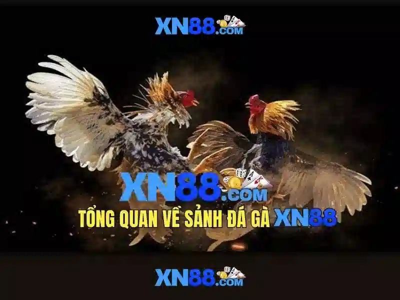Hỗ trợ khách hàng và cập nhật