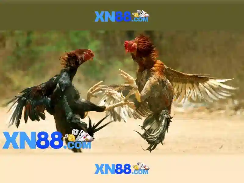 Các trò chơi có mặt trên xn88