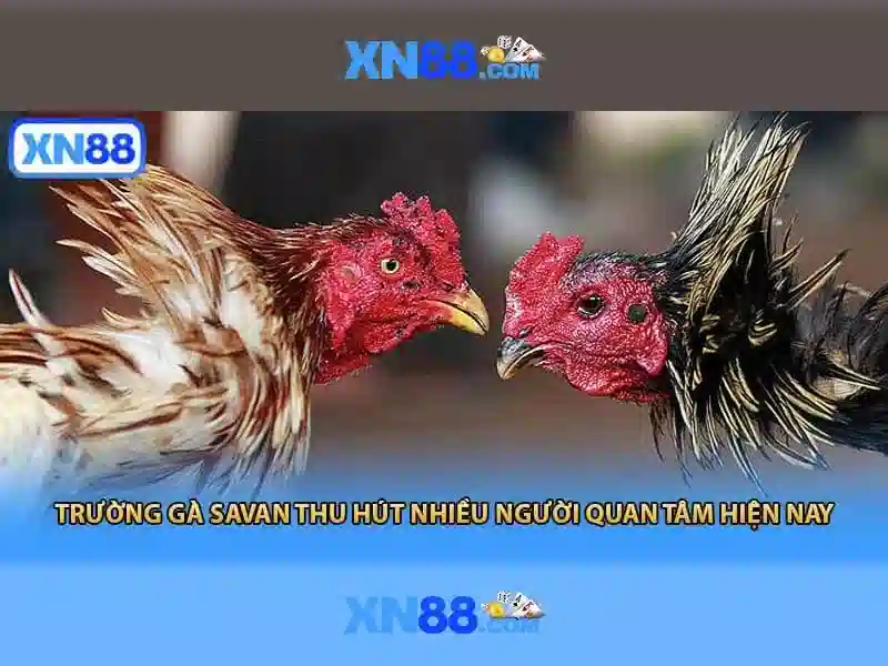 An toàn và bảo mật trên xn88