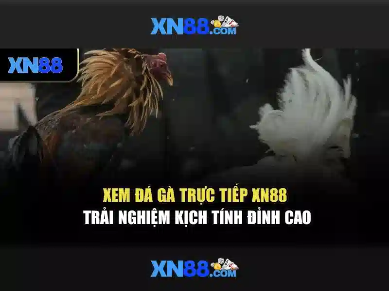 xn88: nền tảng giải trí trực tuyến và trải nghiệm cá cược an toàn