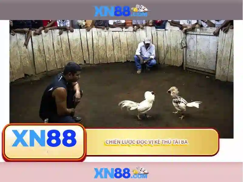 An toàn và trách nhiệm khi chơi