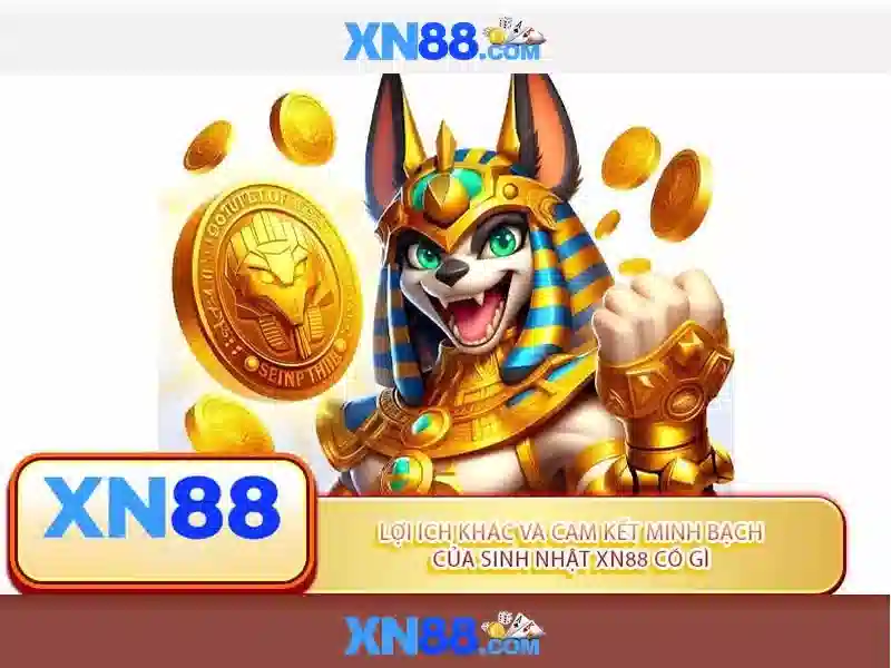 xn88: Nền tảng, hành trình và cơ hội