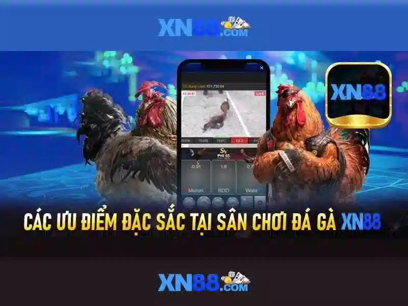 XN88 là gì và hoạt động như thế nào