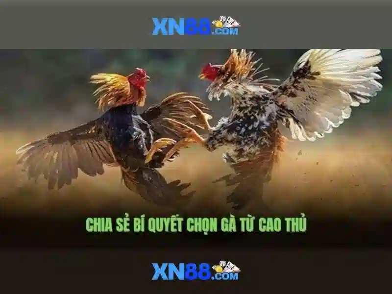 Hướng dẫn tham gia và nạp tiền