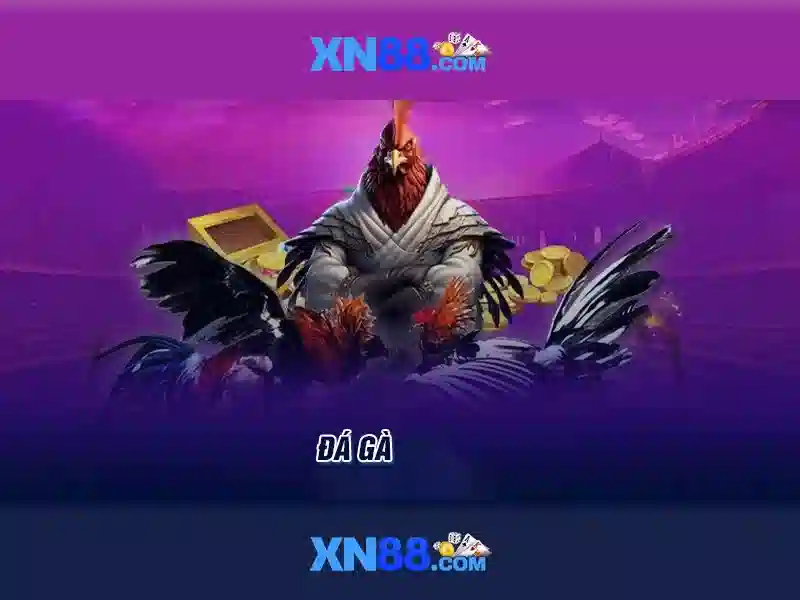 xn88: Tổng quan về nền tảng cược và giải trí