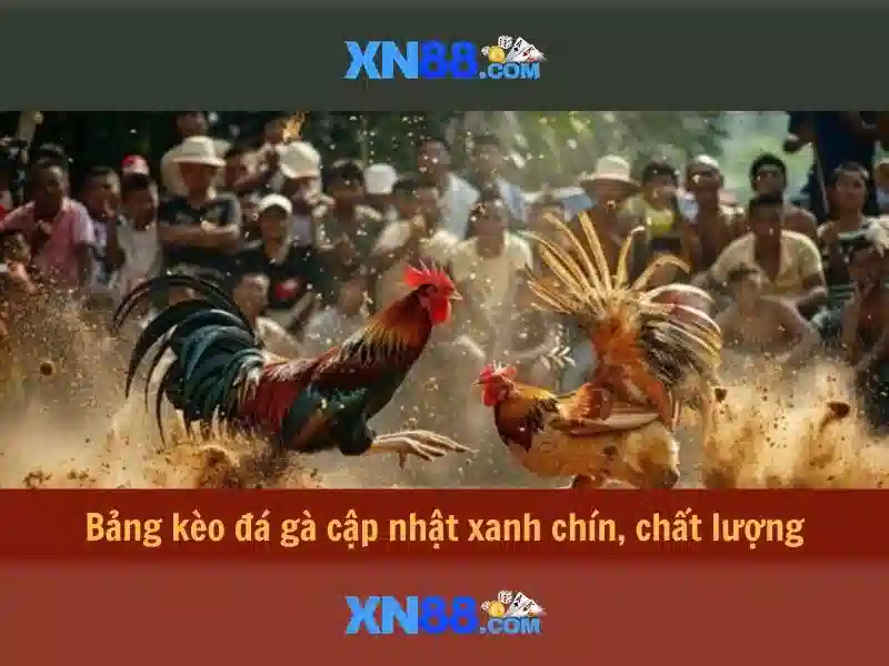 xn88: Nền tảng trò chơi trực tuyến và cộng đồng