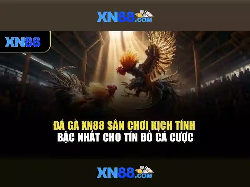Điểm nổi bật của xn88