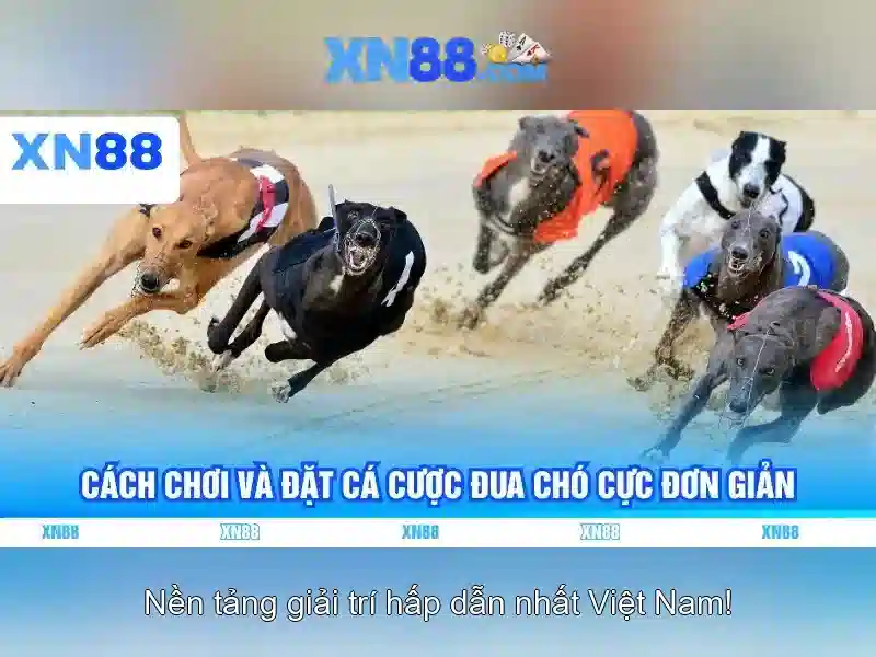 Các tính năng nổi bật