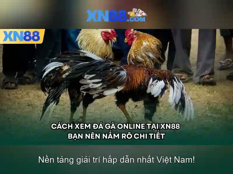 Xn88: Nền tảng trò chơi trực tuyến hàng đầu