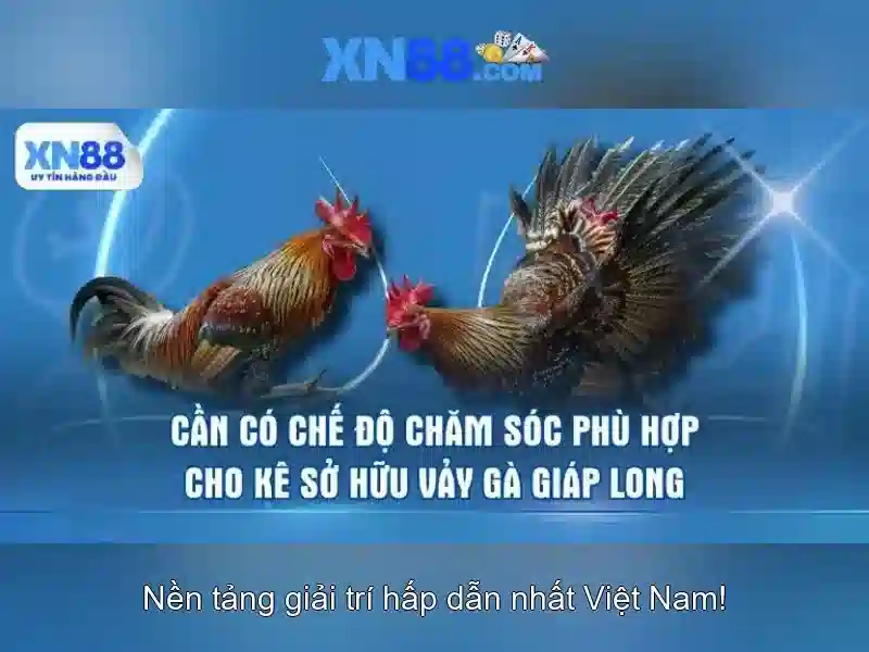 Các sản phẩm và tính năng nổi bật