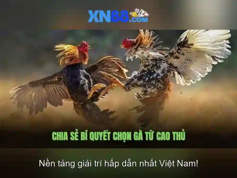 Giới thiệu về xn88