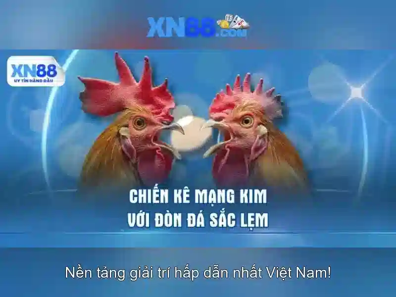 Lịch sử và sứ mệnh