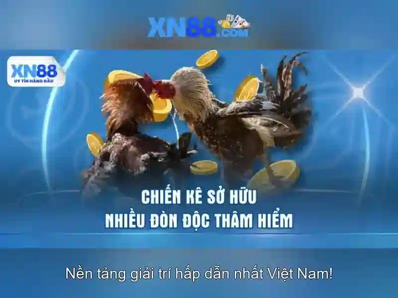 xn88: Nền tảng trò chơi trực tuyến và cược an toàn