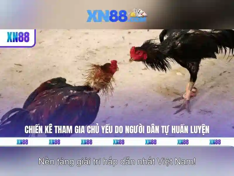 Trải nghiệm người dùng