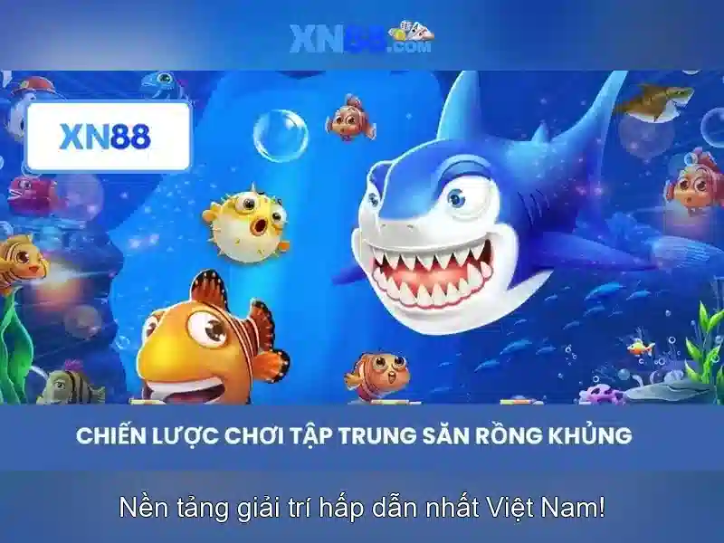 xn88 - Tổng quan bằng tiếng Việt