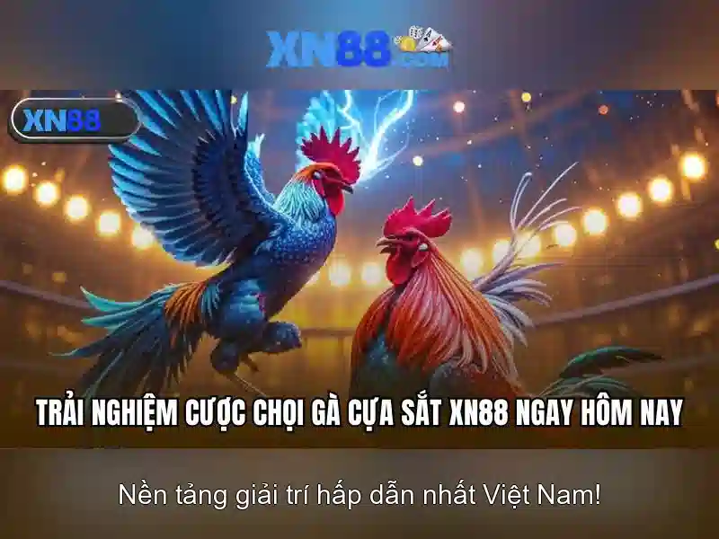 xn88 - một nền tảng trực tuyến và cái nhìn tổng quan