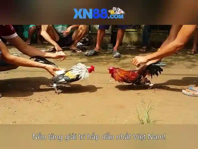 xn88 - Tổng quan về nền tảng chơi trực tuyến